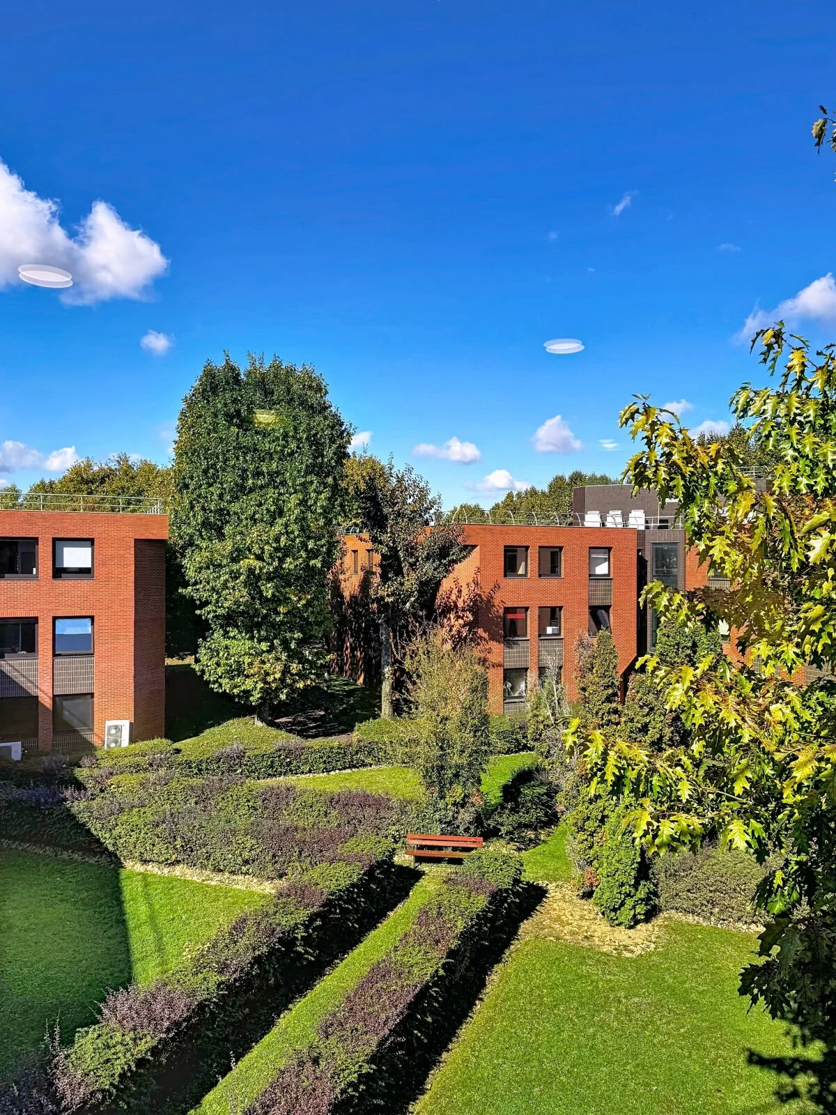Cour arborée des bureaux Novatis