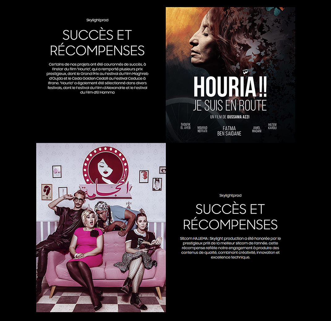 Affiches promotionnelles des projets de Skylightprod